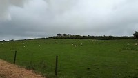 20190713_110248