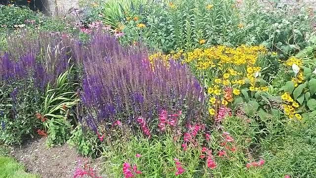 20190721_141228