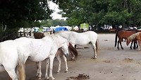 20190725_151200_Trim_Trim