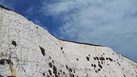 20190726_150259