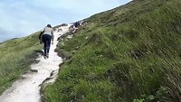 20190728_134233