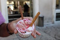 IMG_4990