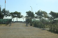 IMG_6421