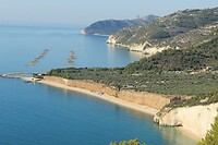 IMG_6445