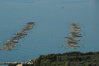 IMG_6447