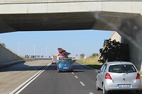IMG_6484