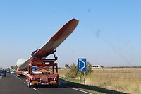 IMG_6493