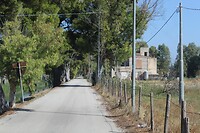 IMG_6538