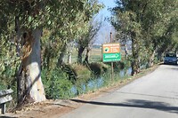 IMG_6539