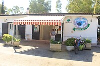 IMG_6541