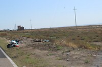 IMG_6594