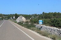 IMG_6656