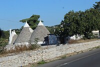 IMG_6693