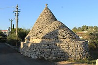 IMG_6729