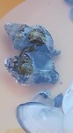 VID-20211020-WA0019
