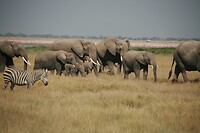 IMG_1977 (2)