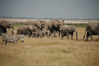 IMG_1977