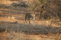 IMG_2130_001