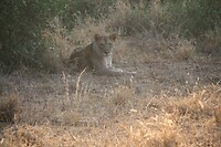 IMG_2132_001