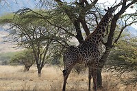 IMG_1827