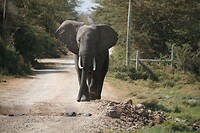 IMG_1915_003