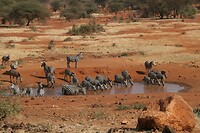 IMG_2212_001