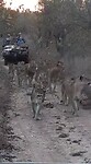 VID-20220804-WA0000