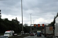 IMG_7772