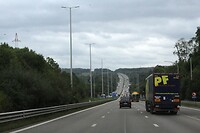 IMG_7781