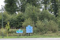 IMG_7796