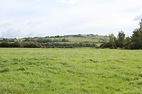 IMG_7825