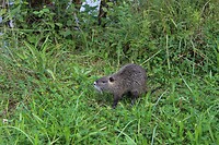IMG_7835