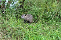 IMG_7838