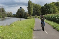 IMG_7849
