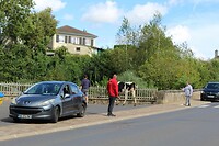 IMG_7861