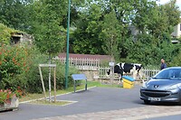 IMG_7862