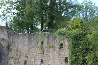 IMG_7867