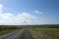 IMG_7869