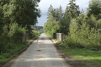 IMG_7877