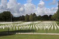 IMG_7887