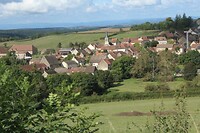 IMG_7961