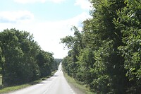 IMG_7962