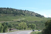 IMG_7963
