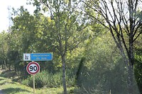 IMG_7977