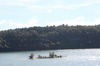 IMG_7982