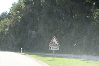 IMG_7988