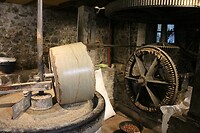 IMG_8061