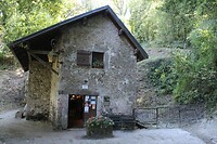 IMG_8062