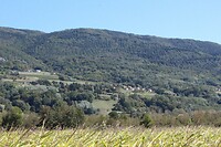IMG_8096