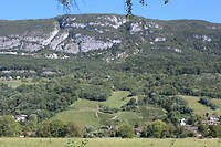 IMG_8099